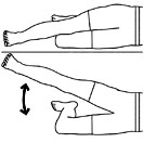 Lower Body Exercise