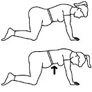 Pregnancy Exercise
