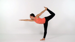 personal trainer exercise software