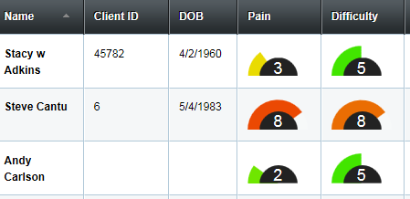 physical therapy exercise software